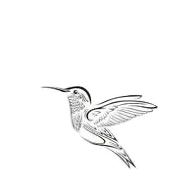 category image