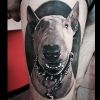 TATTOO FARBE PANTHERA INK - MATTEO PASQUALIN SET