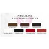 Pigment für Permanentes Make-up PERMA BLEND - A.SIVAK JET SET
